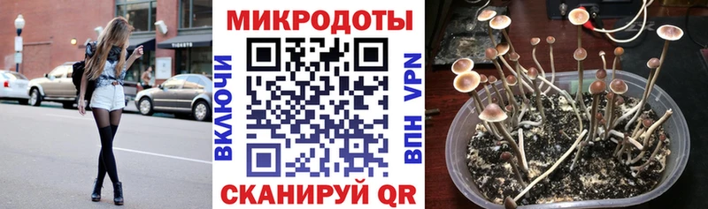 продажа наркотиков  Сольвычегодск  Галлюциногенные грибы Psilocybe 