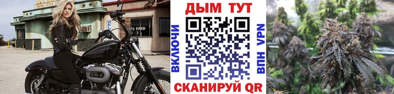 где купить Сольвычегодск kraken онион МАРИХУАНА тримм